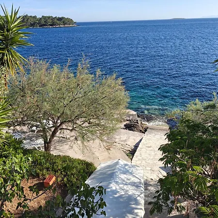 Maskovic Karbuni * Прижба