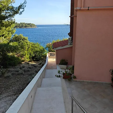 Maskovic Karbuni * Прижба