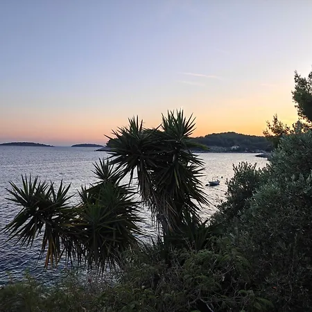 Апартаменты Maskovic Karbuni