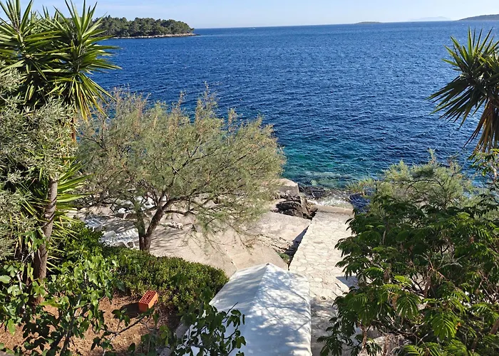 Maskovic Karbuni * Прижба