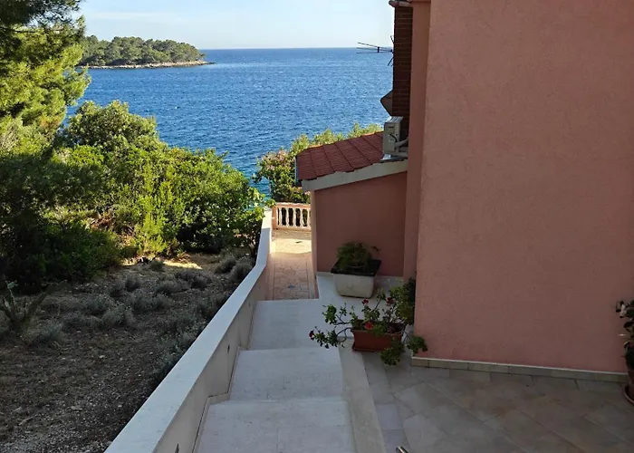 Maskovic Karbuni * Прижба